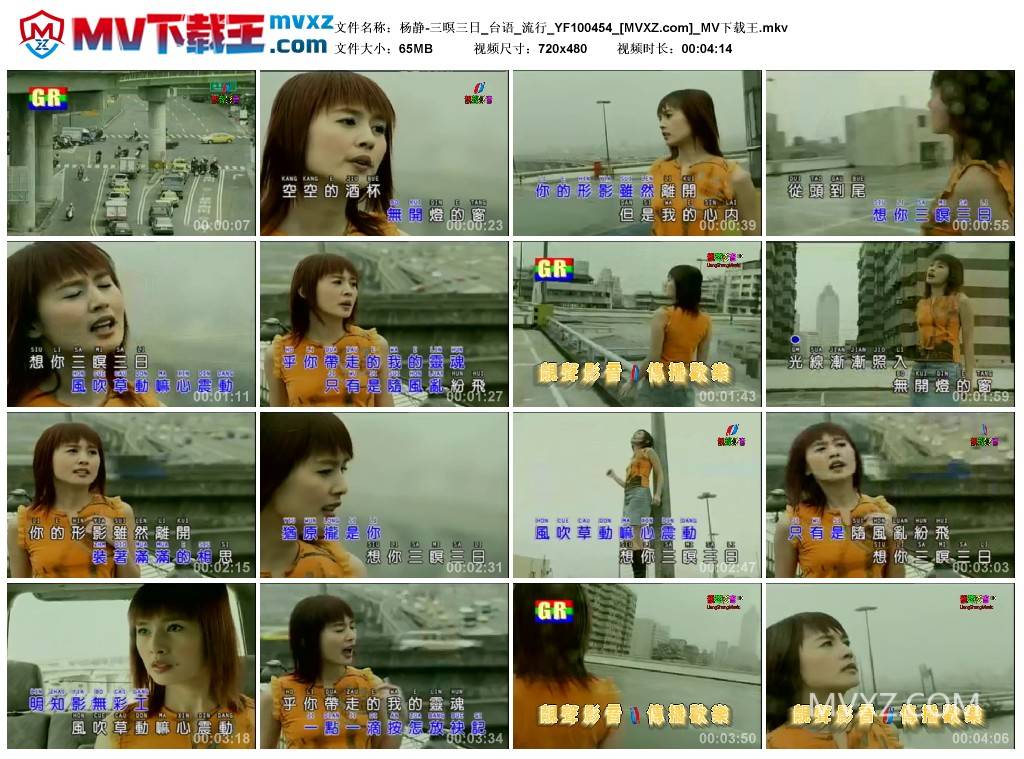 杨静-三暝三日_台语_流行_YF100454